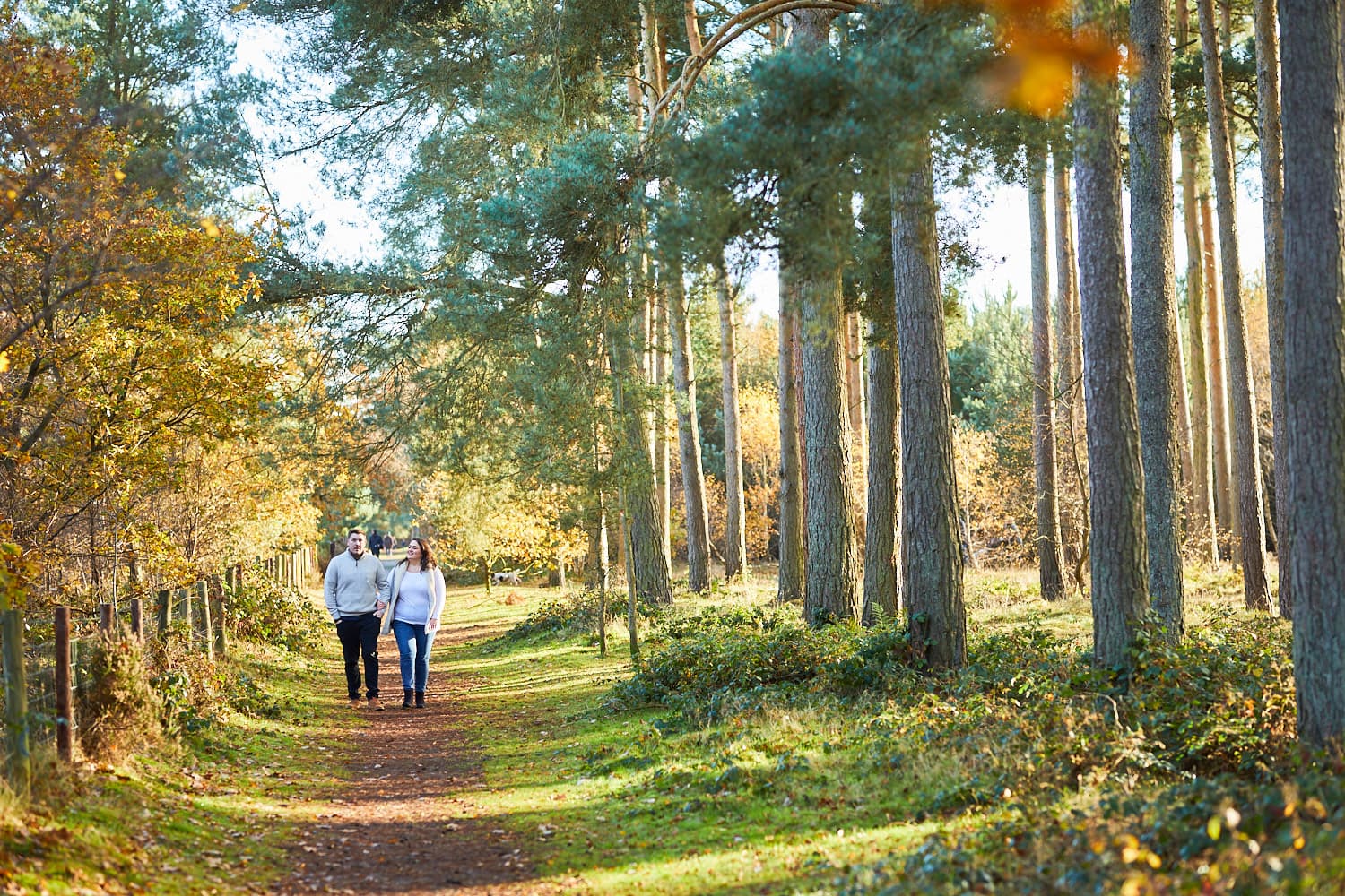 A couple walk away from the camera in Woodhall Spa woodland on a winter engagement photoshoot.
